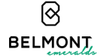 Logotipo de cliente 9